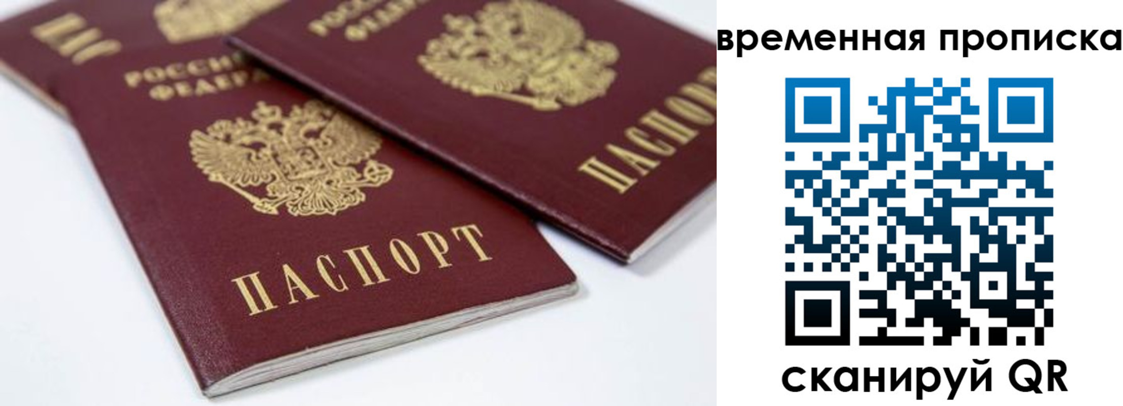 прописка для школы в Тихвине